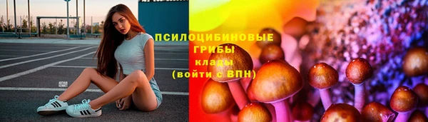 молекула духа Аркадак