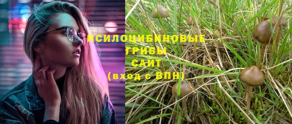 молекула духа Аркадак