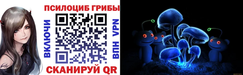 Галлюциногенные грибы мицелий  даркнет сайт  Терек 